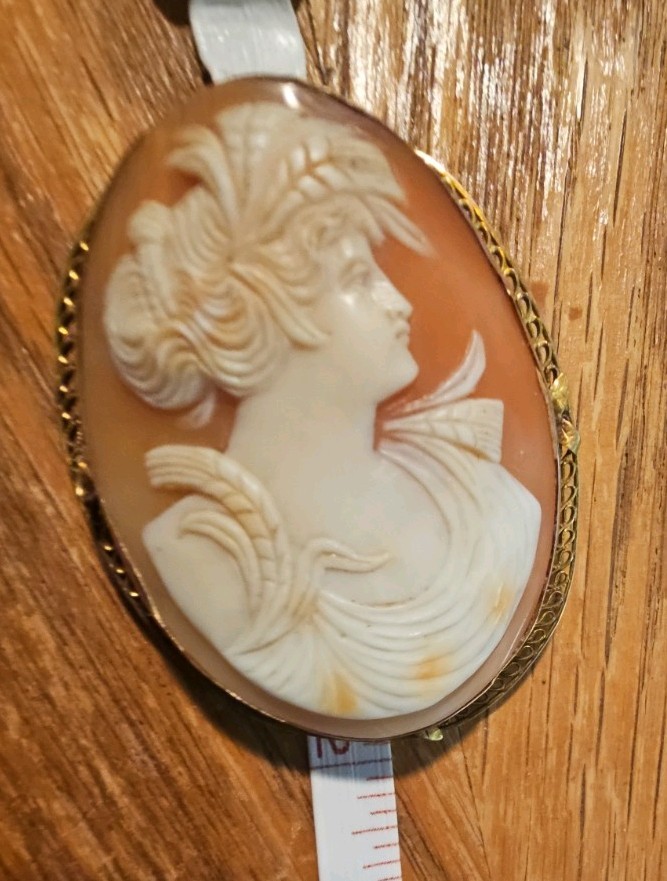 EARLY Vintage 14k Yellow Gold Shell Carved Cameo Brooch/Pendant 2″x1.5″ C-clasp