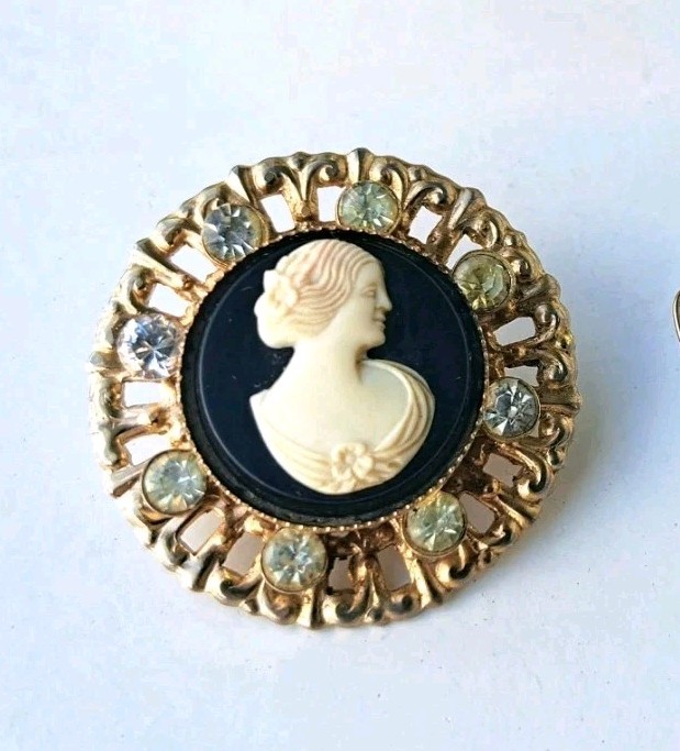 Vintage Antique Victorian Estate Jewelry CAMEO Brooches Dark Witchy Lot—0.8Lbs