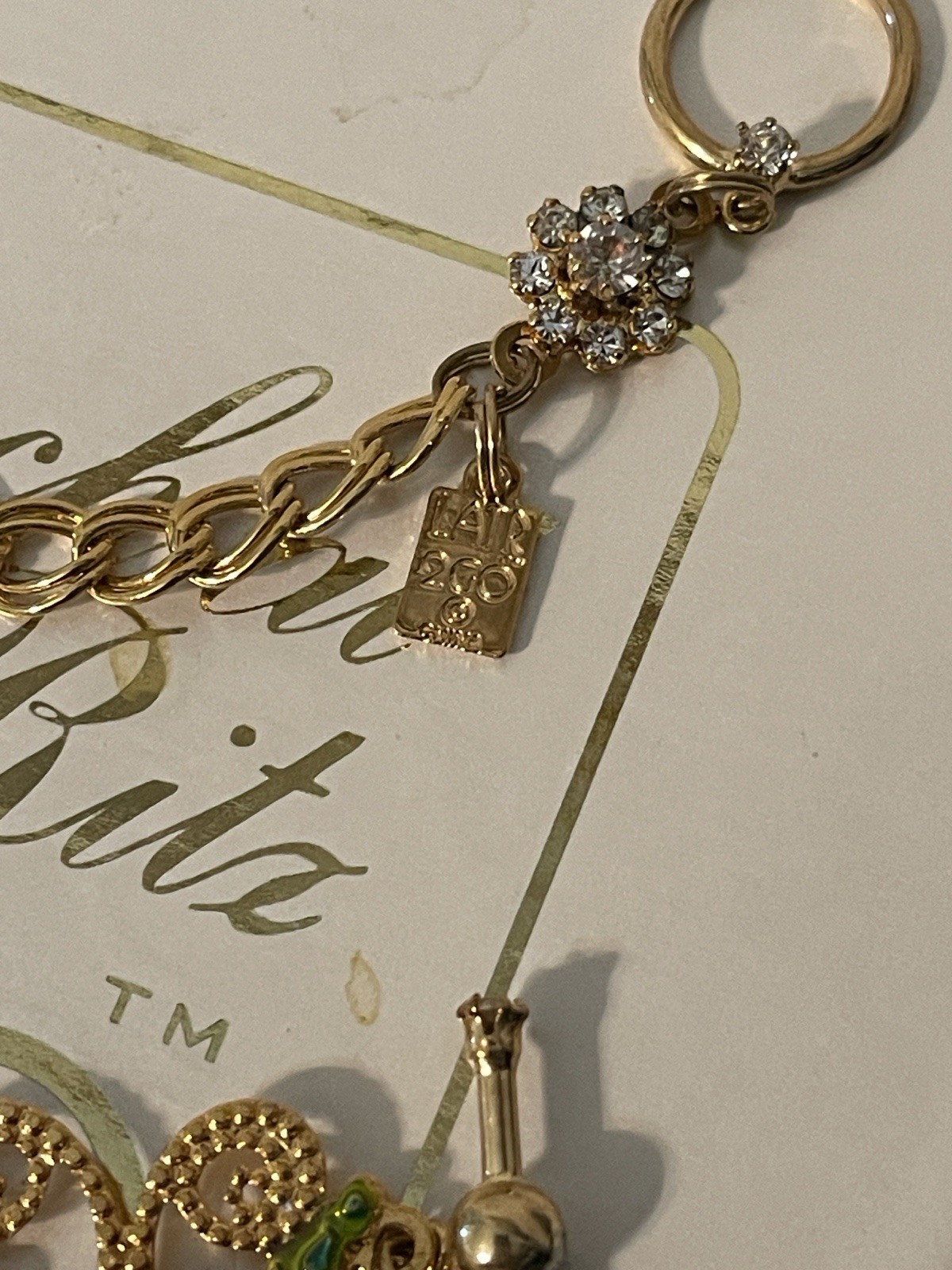 LATR 2GO Interchangeable Charm Bracelet (Glamour Puss & RARE Ladybug) 7.5”
