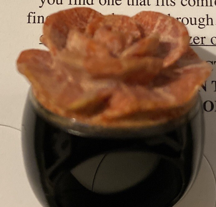Vintage Onyx Silver Sponge Coral Carved Rose Ring Sz 6?