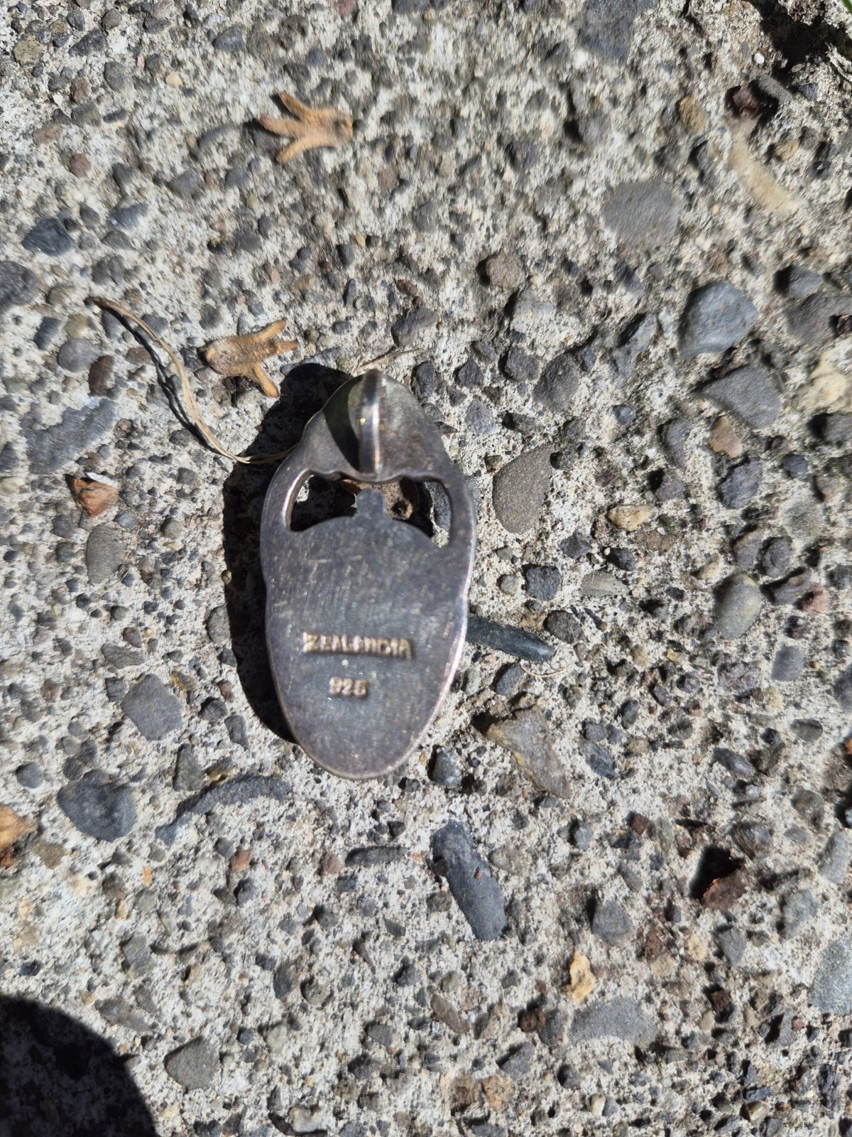 Vintage Trilobite/Amber Pendant Set In Sterling Silver.