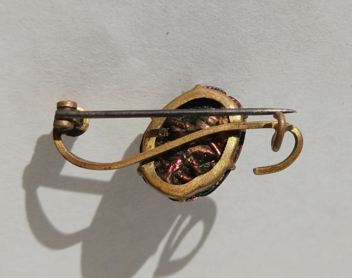 Antique Egyptian Revival Scarab Jewelry Real Scarab Beetle Bar Pin