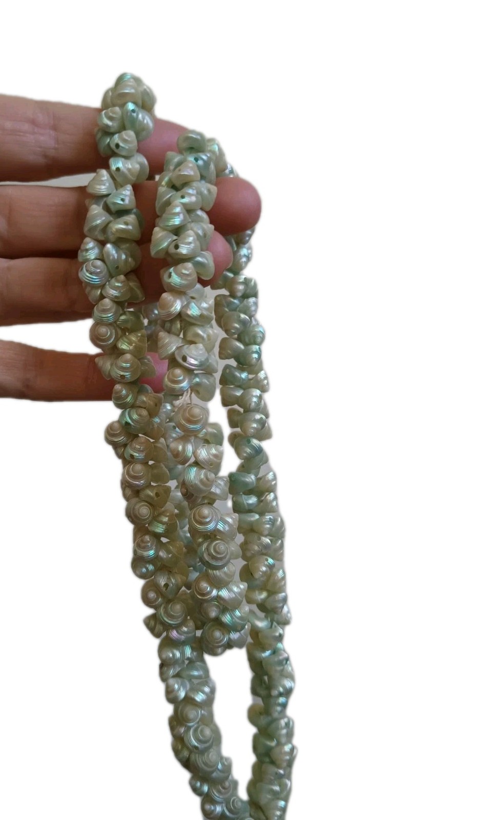 Vintage Trochus Shell Necklace Iridescent Blue Green Tasmanian Single Strand