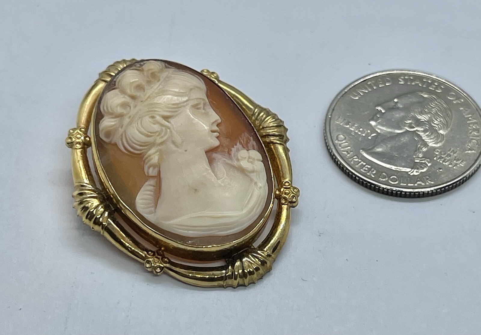 Vintage Gold Filled Carved Shell Lady CAMEO Left Facing Ornate Frame Brooch