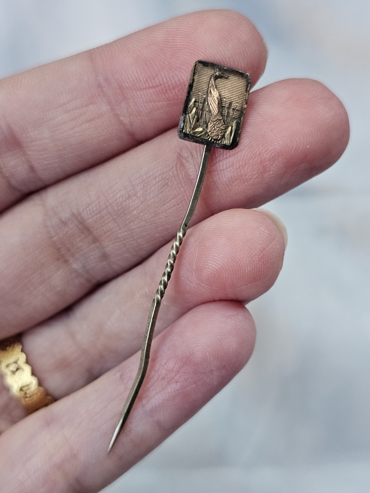Antique Peacock Stick Pin Goldtone Untested