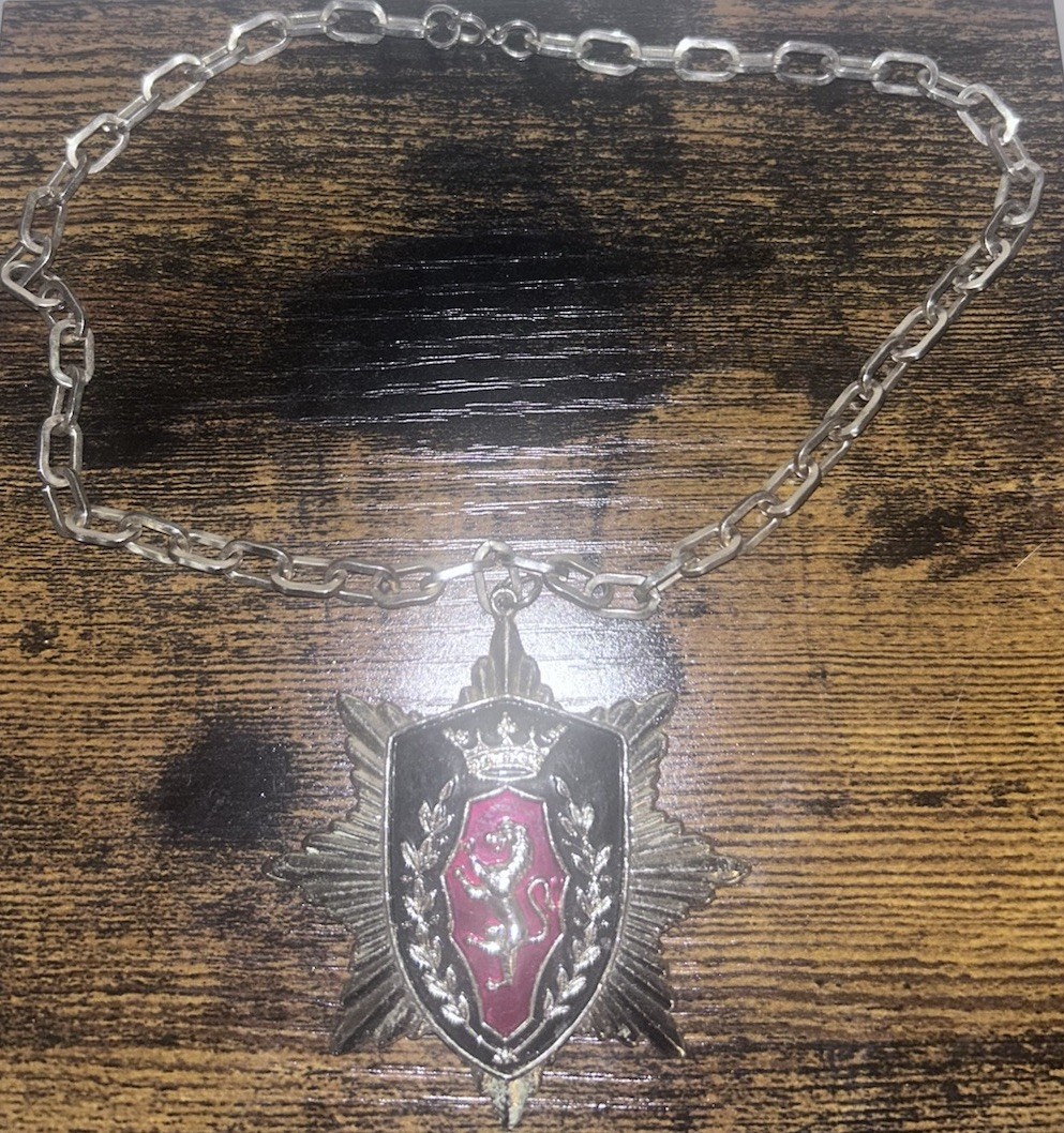 Vintage Crest Shield Lion Pendant Chain Necklace With Red Enamel Accent
