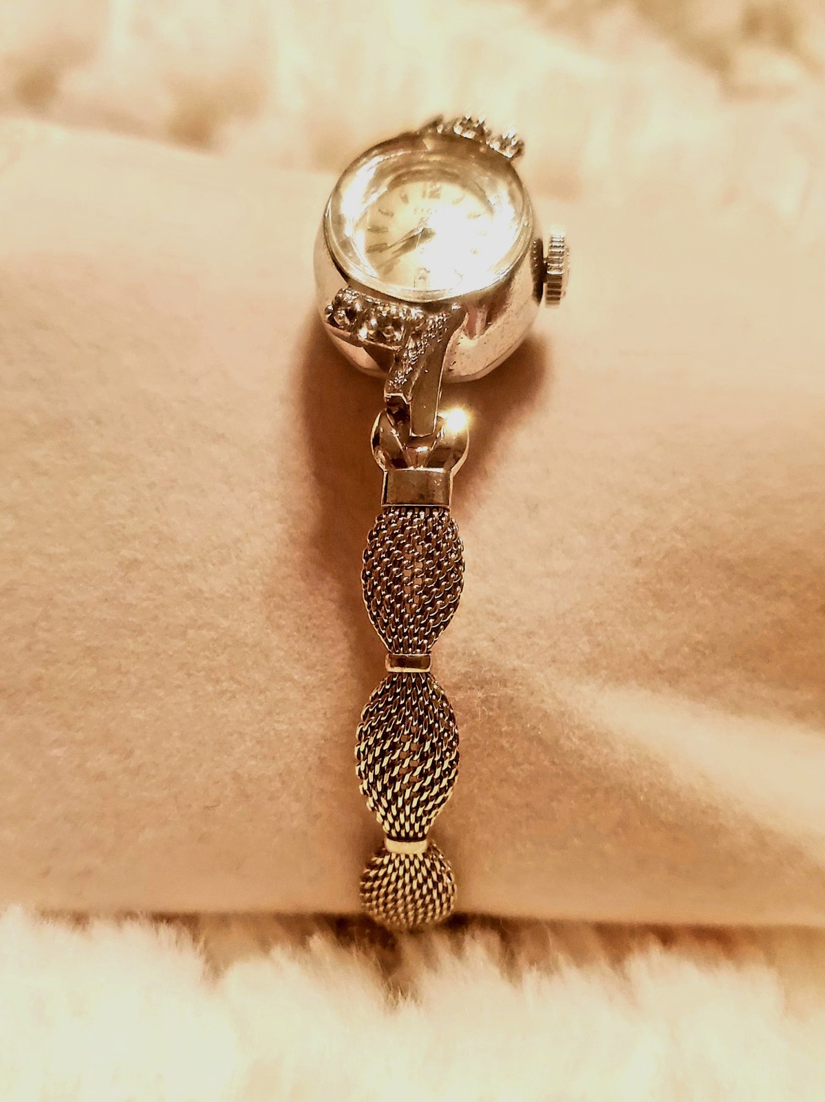 Vintage Elgin 10k Bezel Diamonds Speidel 10k Band 21 Gem Working