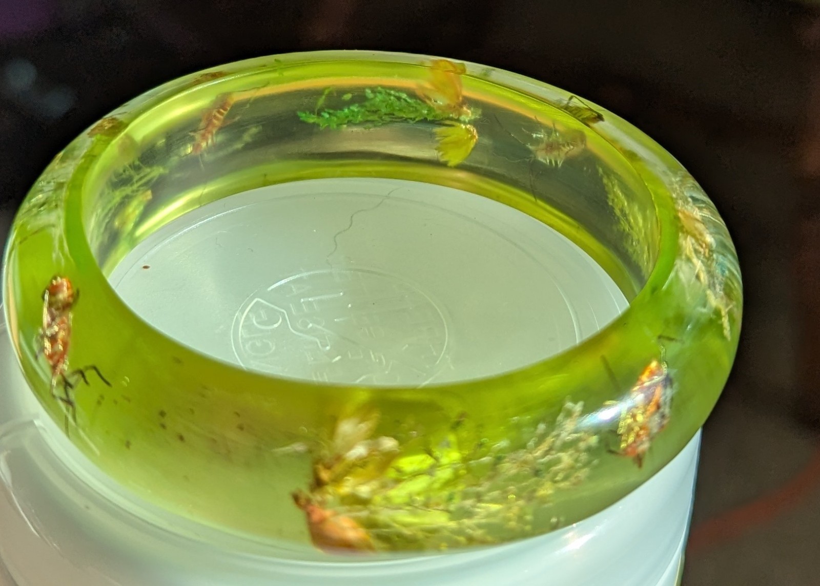 VINTAGE LUCITE BUG ANT INSECT BOTANICAL BANGLE BRACELET ORIG GOLD FOIL STICKER
