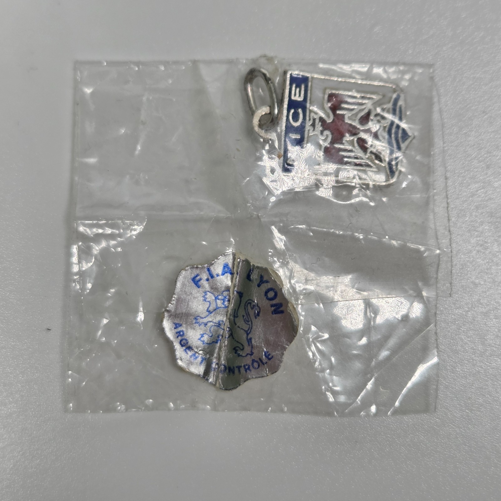 Nice Argent Silver & Enamel Pendant-Travel Shield Charm Unused