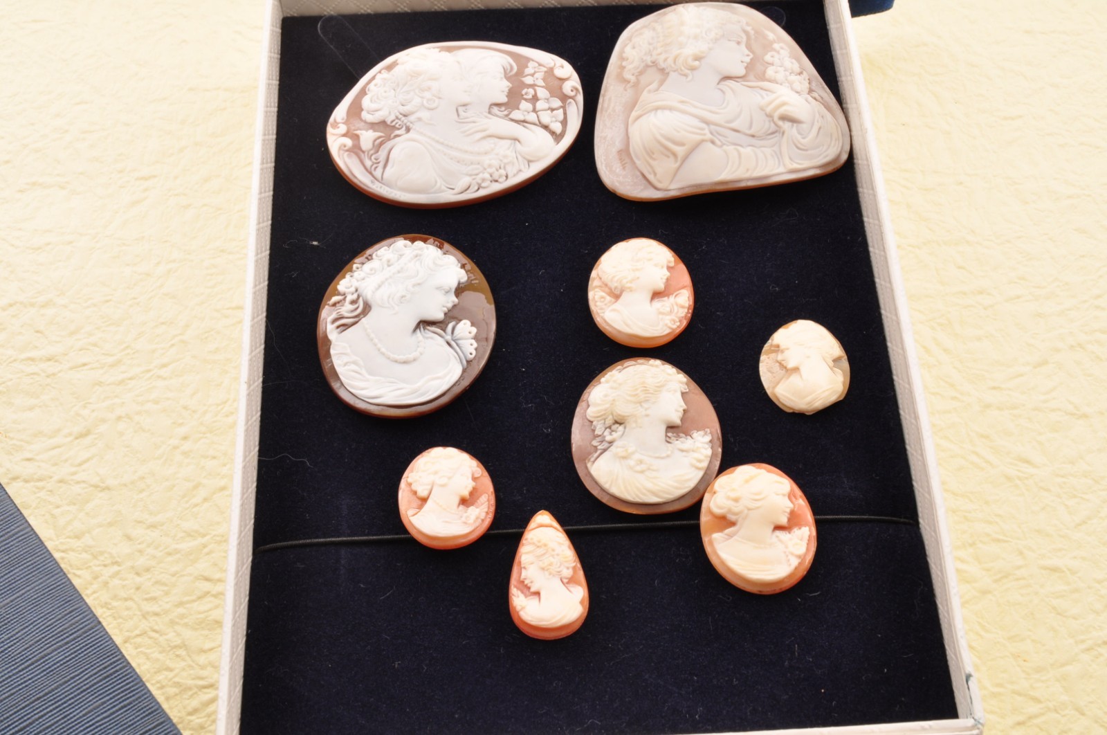 9 items , vintage shell cameo White and brown color (Total 323.0ct) with case.