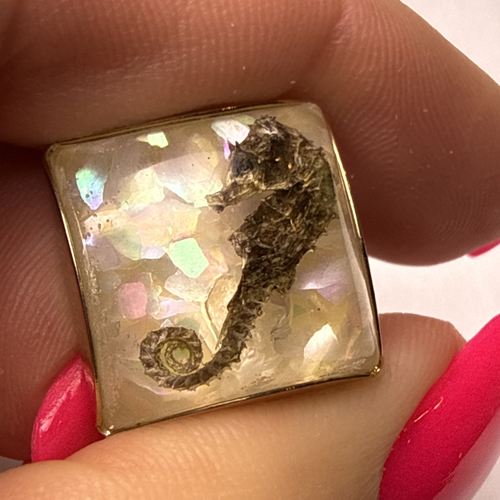 Rare 1960s Genuine Seahorse Confetti Lucite Domed Cuff Links-aquatic Sea Life