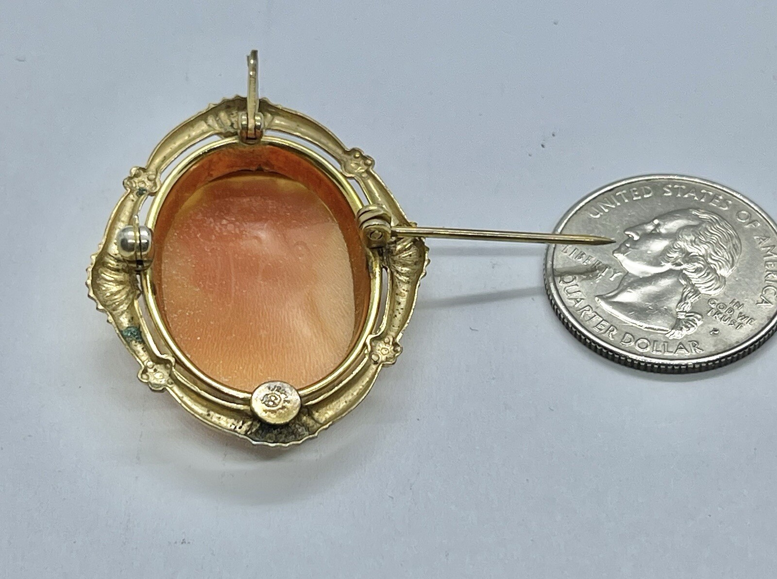 Vintage Gold Filled Carved Shell Lady CAMEO Left Facing Ornate Frame Brooch