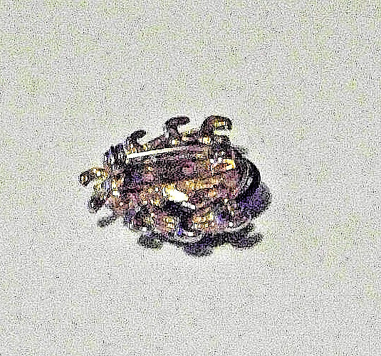 vintage unsigned bug brooch gold tone rhinestone