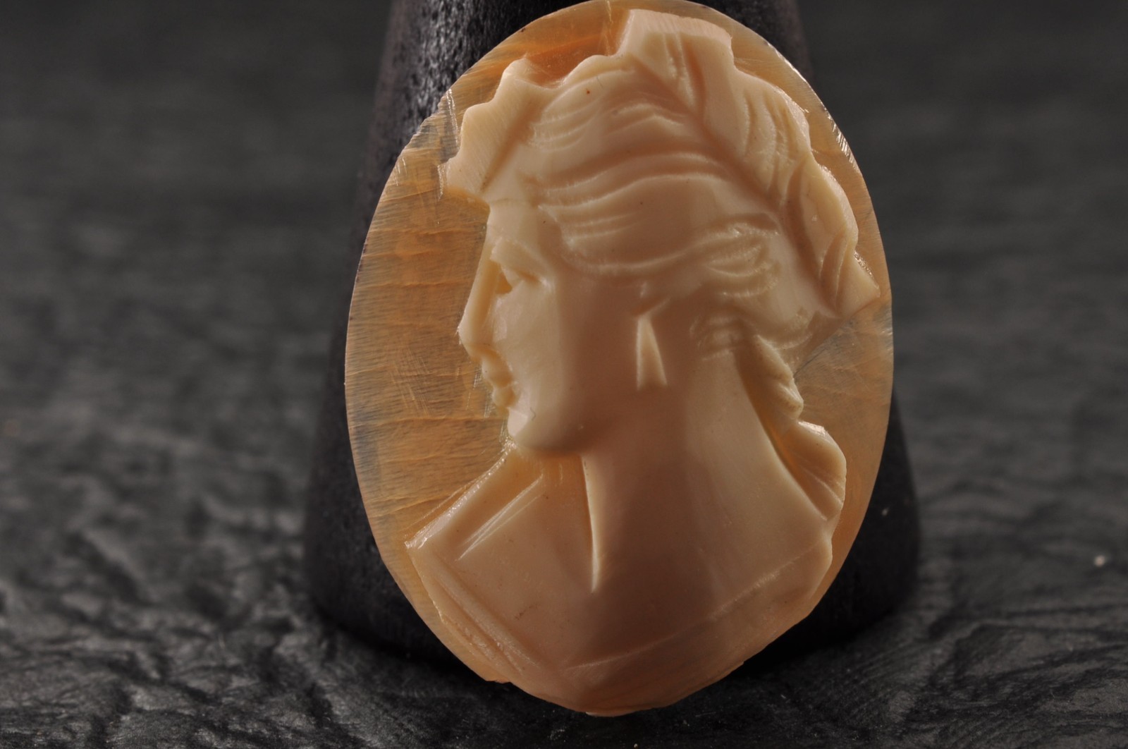 9 items , vintage shell cameo White and brown color (Total 323.0ct) with case.