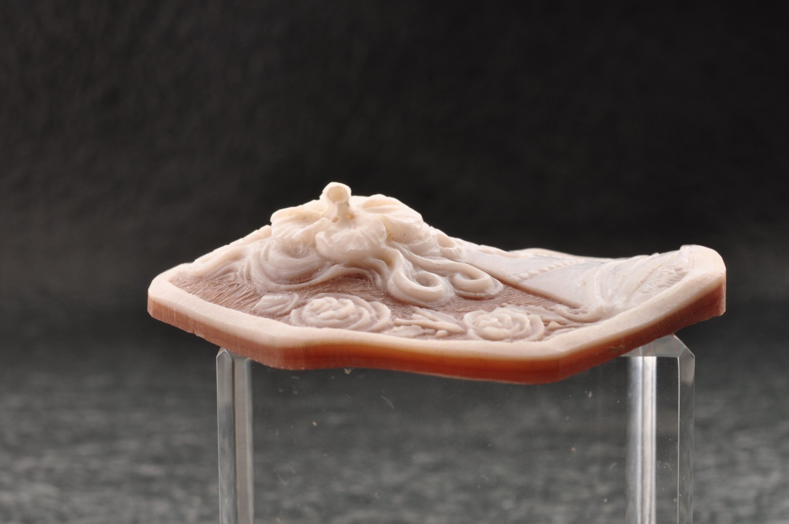 Vintage shell cameo “Girl with a flower hair ornament”, (65.0ct) sign by artist.