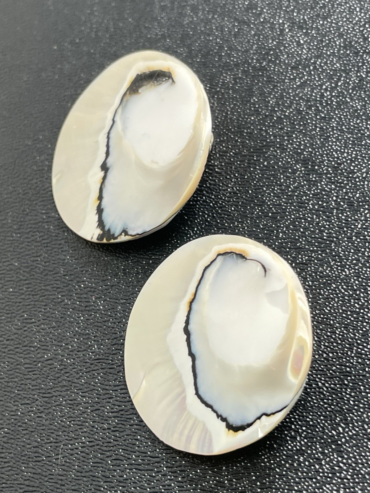 Vintage Large 1.4” Round Shell Clip Earrings
