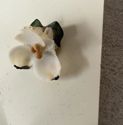 Vintage Handmade Genuine SeaShell 1 Brooch 2 Pairs Of Earrings Shells Florida