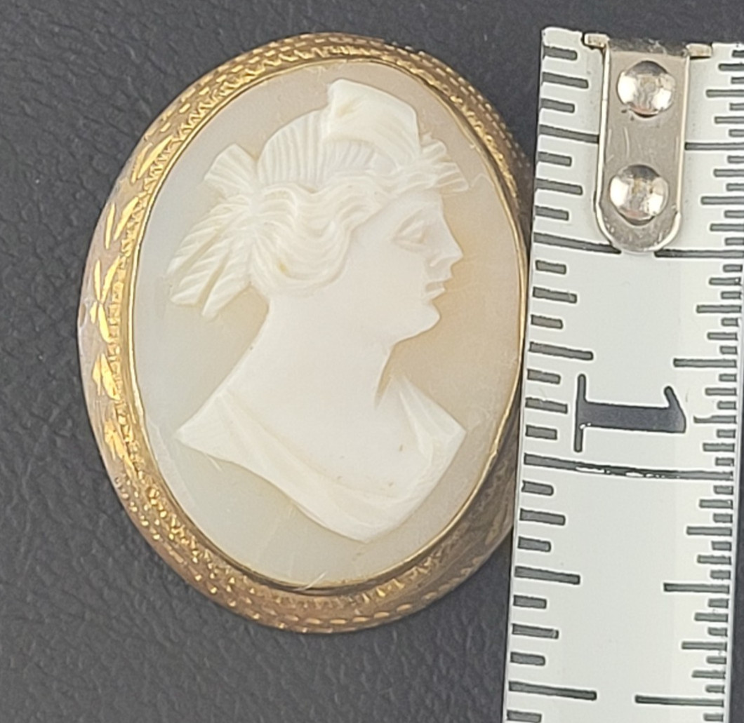 Vintage Cameo Brooch READ