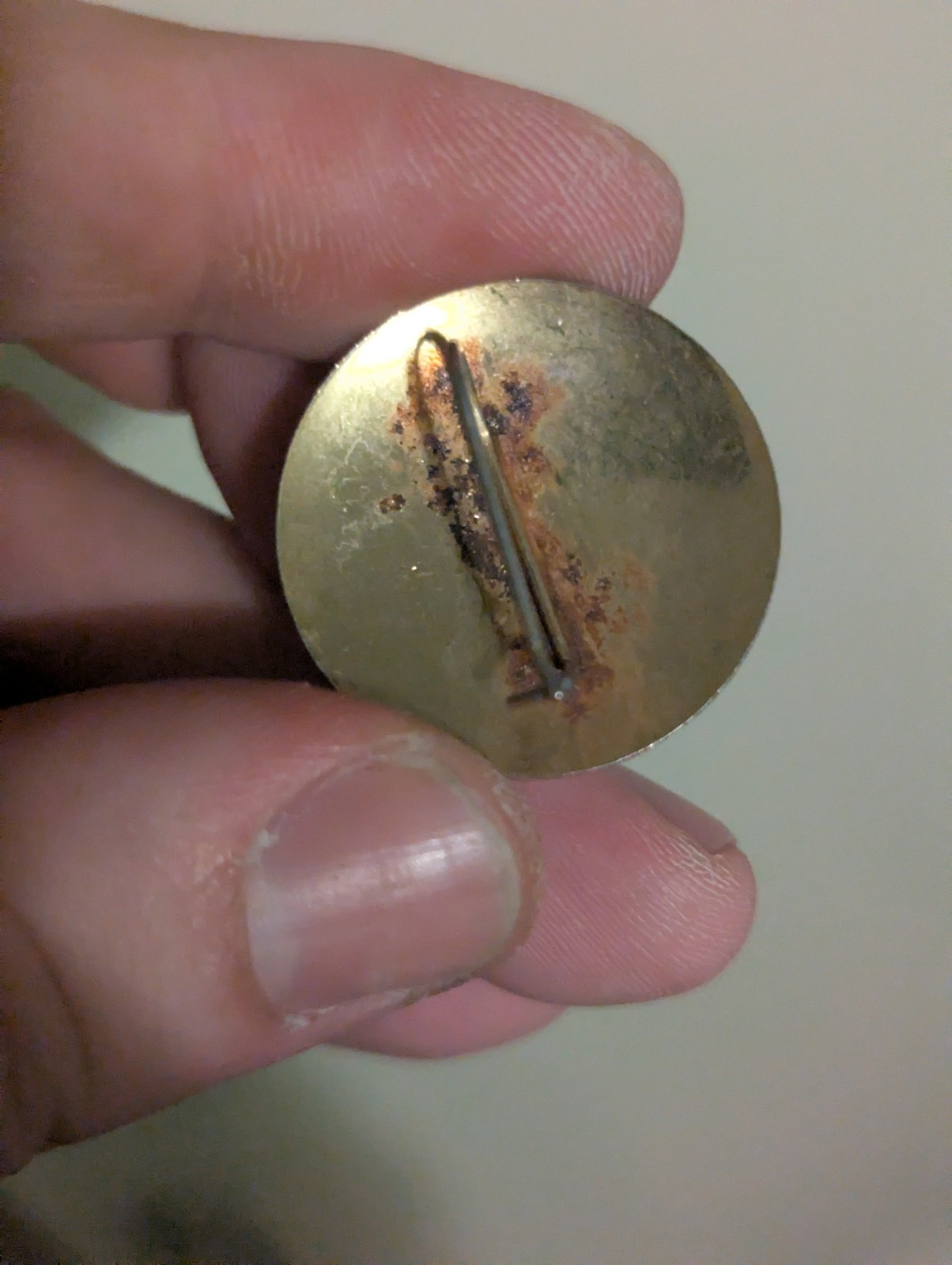 Bronze Colored Pin