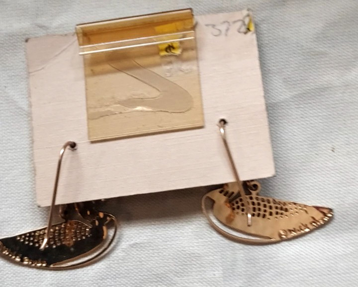 Vintage New Wild Bryde Loon Earrings Gold Tone Metal NO Signed
