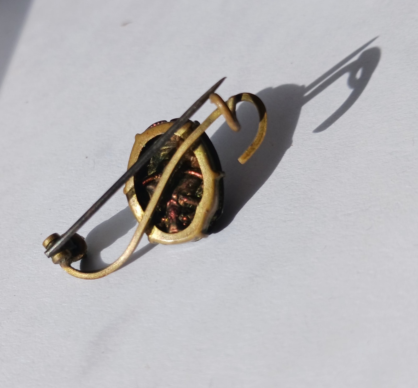 Antique Egyptian Revival Scarab Jewelry Real Scarab Beetle Bar Pin