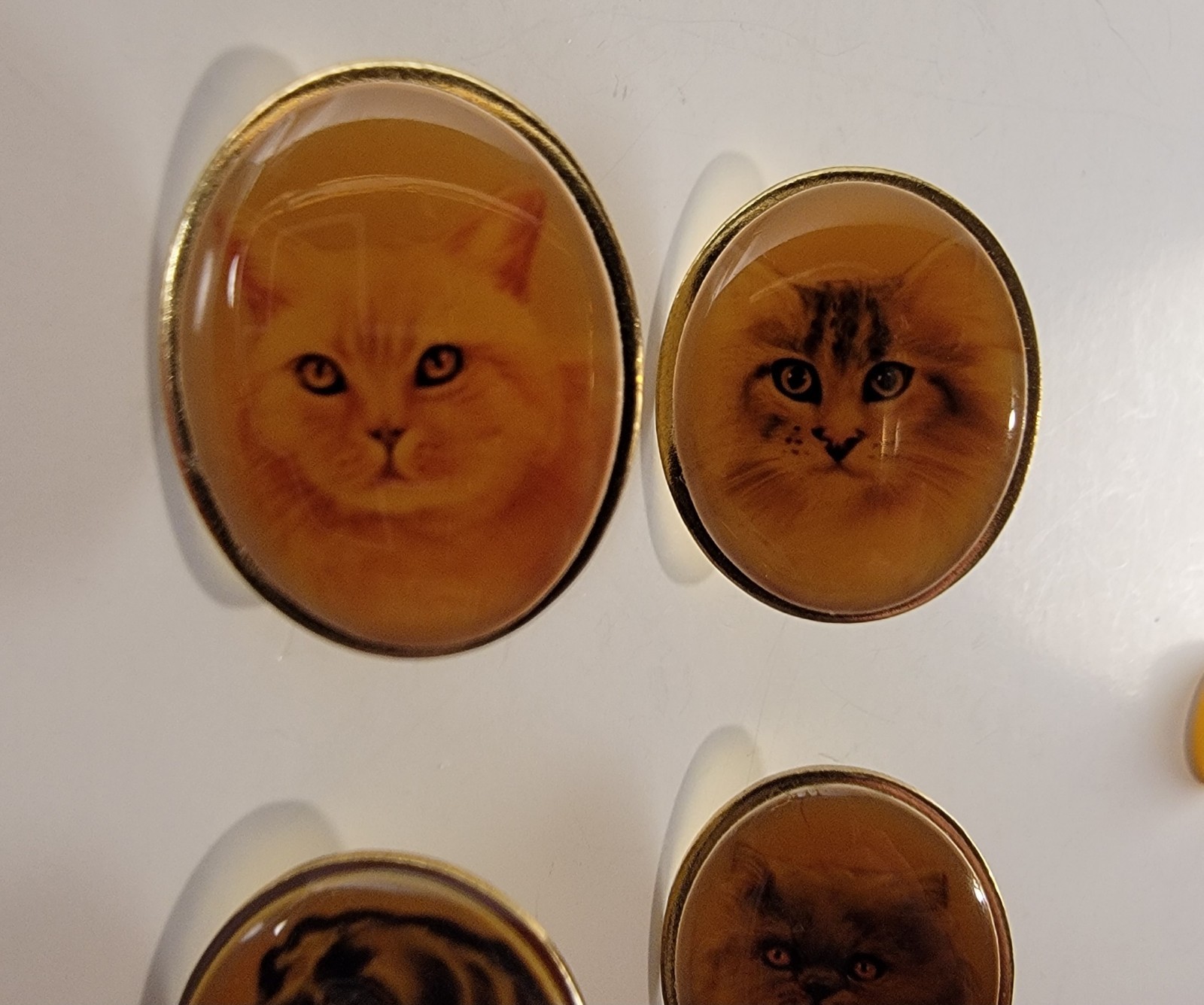 VINTAGE GOLD TONE CAT DOG PORTRAIT LAPEL PIN LOT X4 OVAL ANIMAL PET PINS