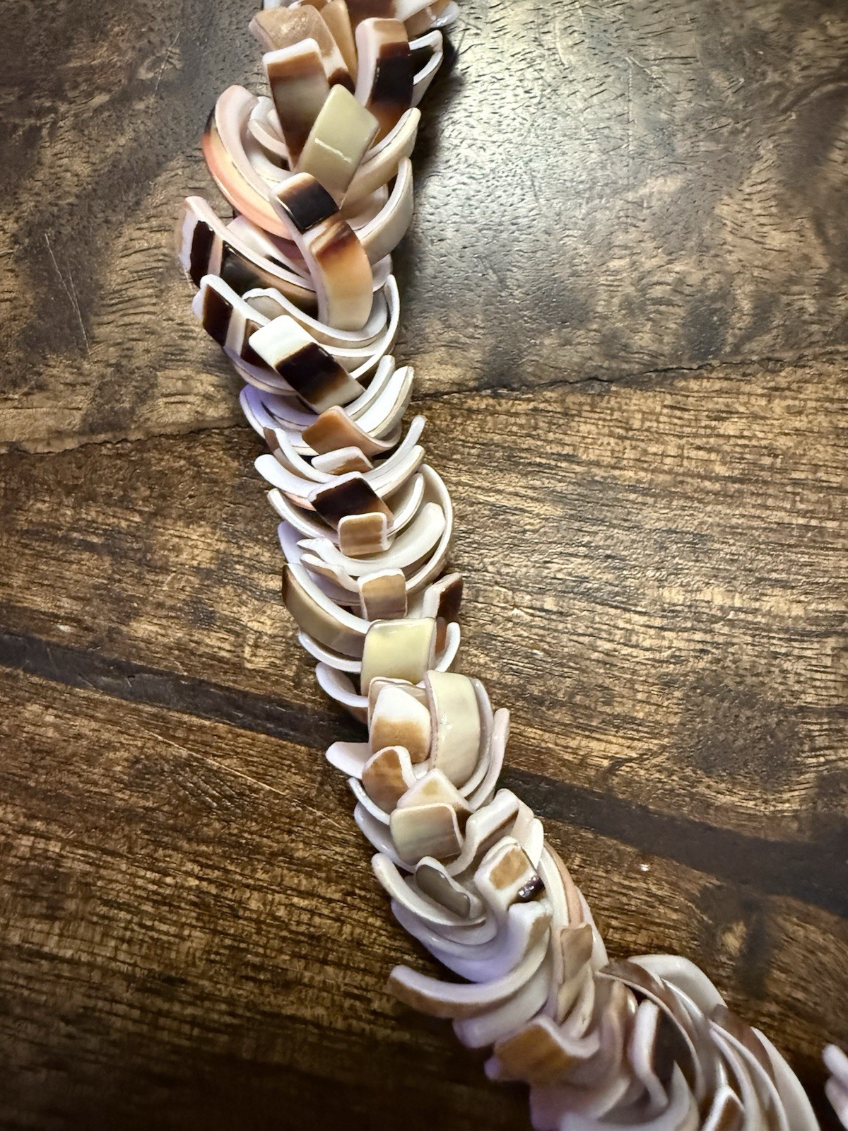 Striking Vintage Multicolor Shell Slice Hawaiian Necklace for Beach/Summer, 20”