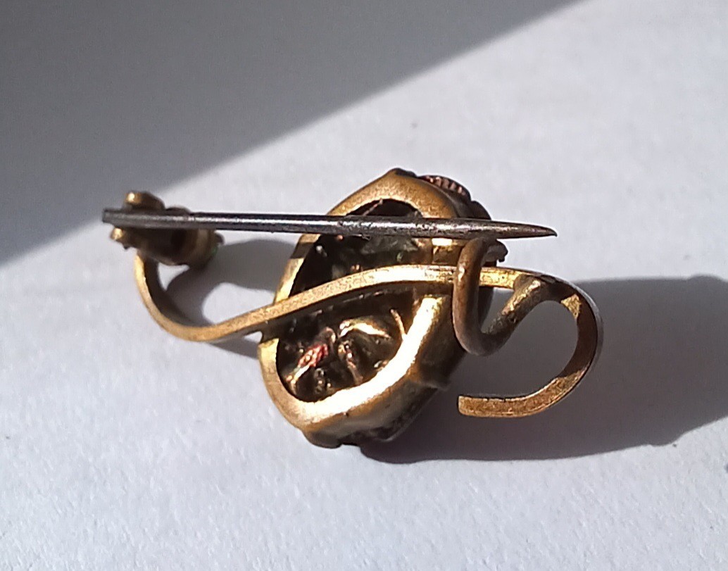 Antique Egyptian Revival Scarab Jewelry Real Scarab Beetle Bar Pin