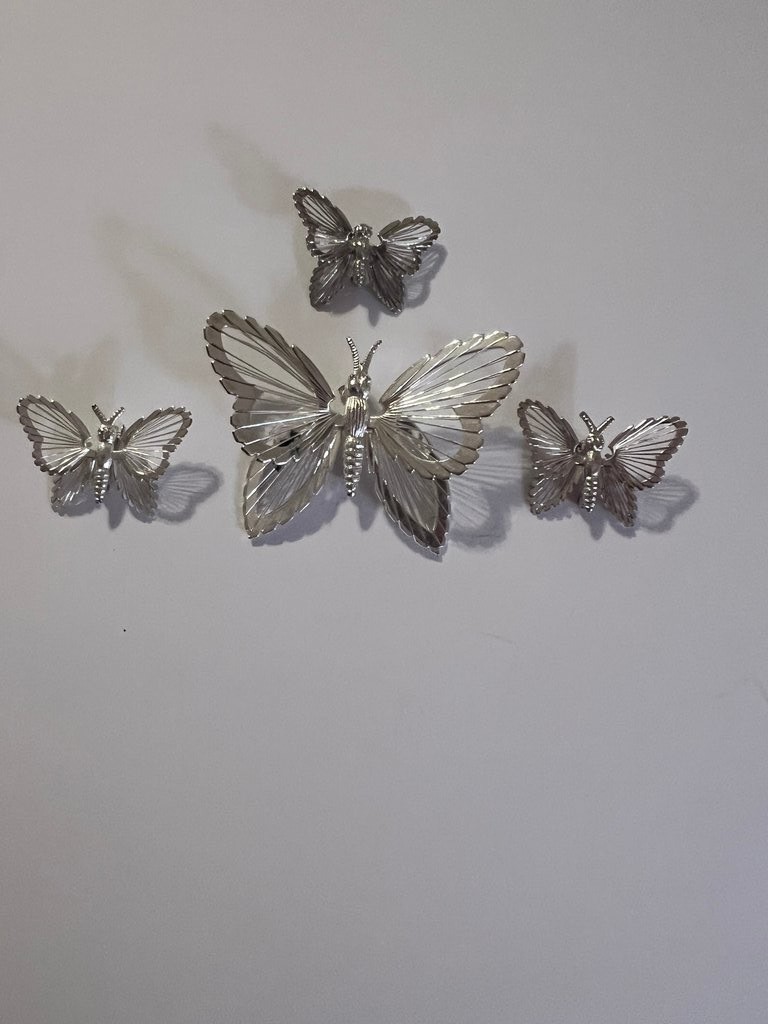 Monet Silver-Tone Butterfly Brooch Set BR59