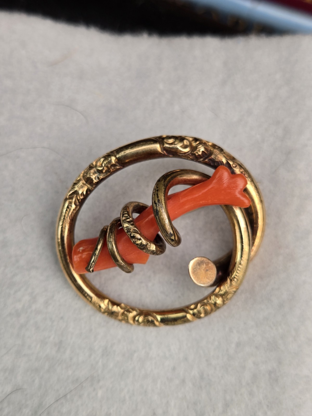 Vintage Victorian Lovers Knot Gold Filled Red Coral Oval Branch Pin GF
