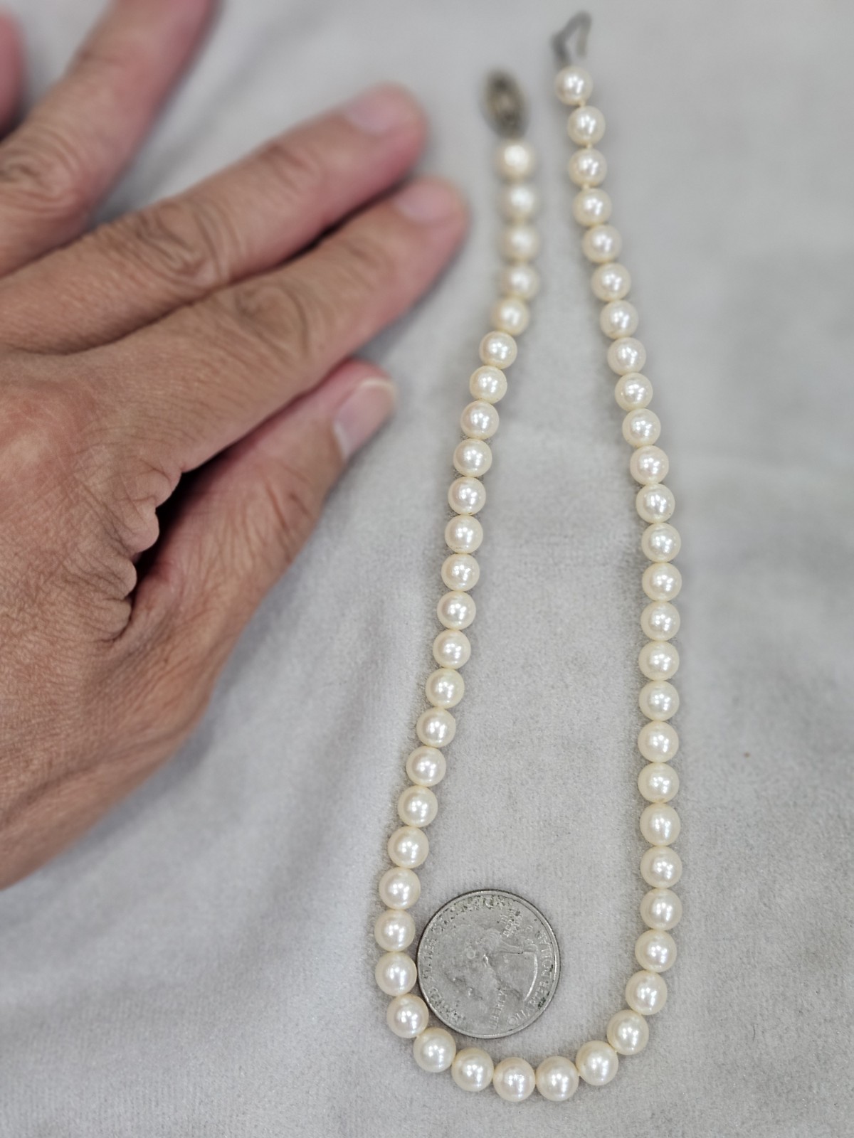 15” Japanese Cultured Akoya Pearl Necklace 14k White Gold clasp 6.4mm Stamp M