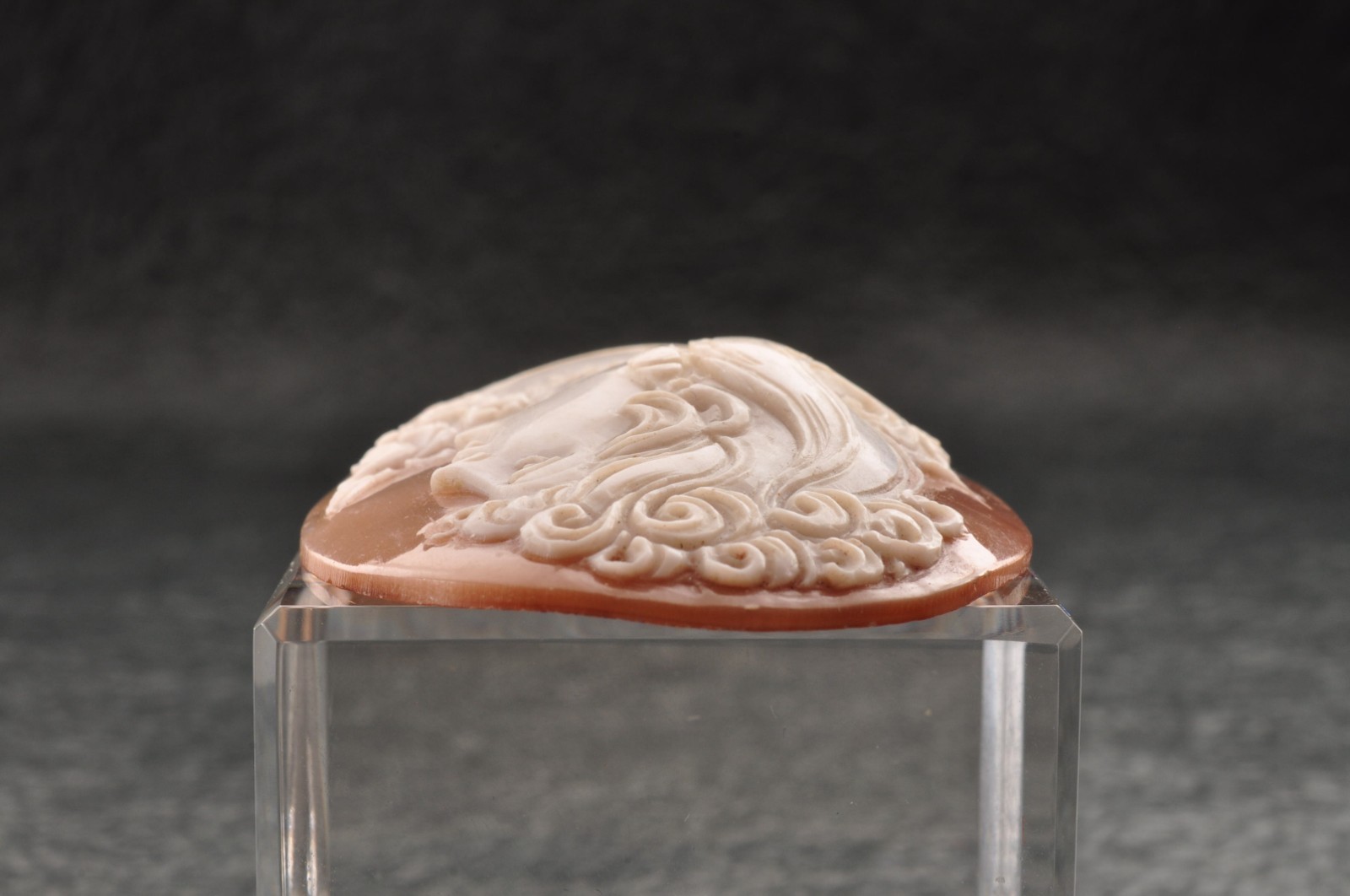 Vintage shell cameo, “The Girl with the Necklace” (60.0ct) sign by artist, Case.