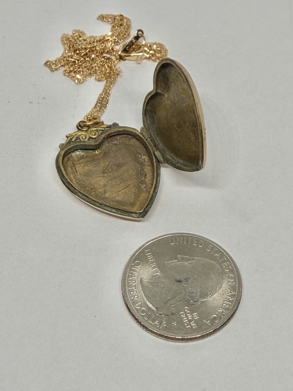 Victorian Aesthetic Movement Bird & Flower Vines Double Sided RG Locket Necklace