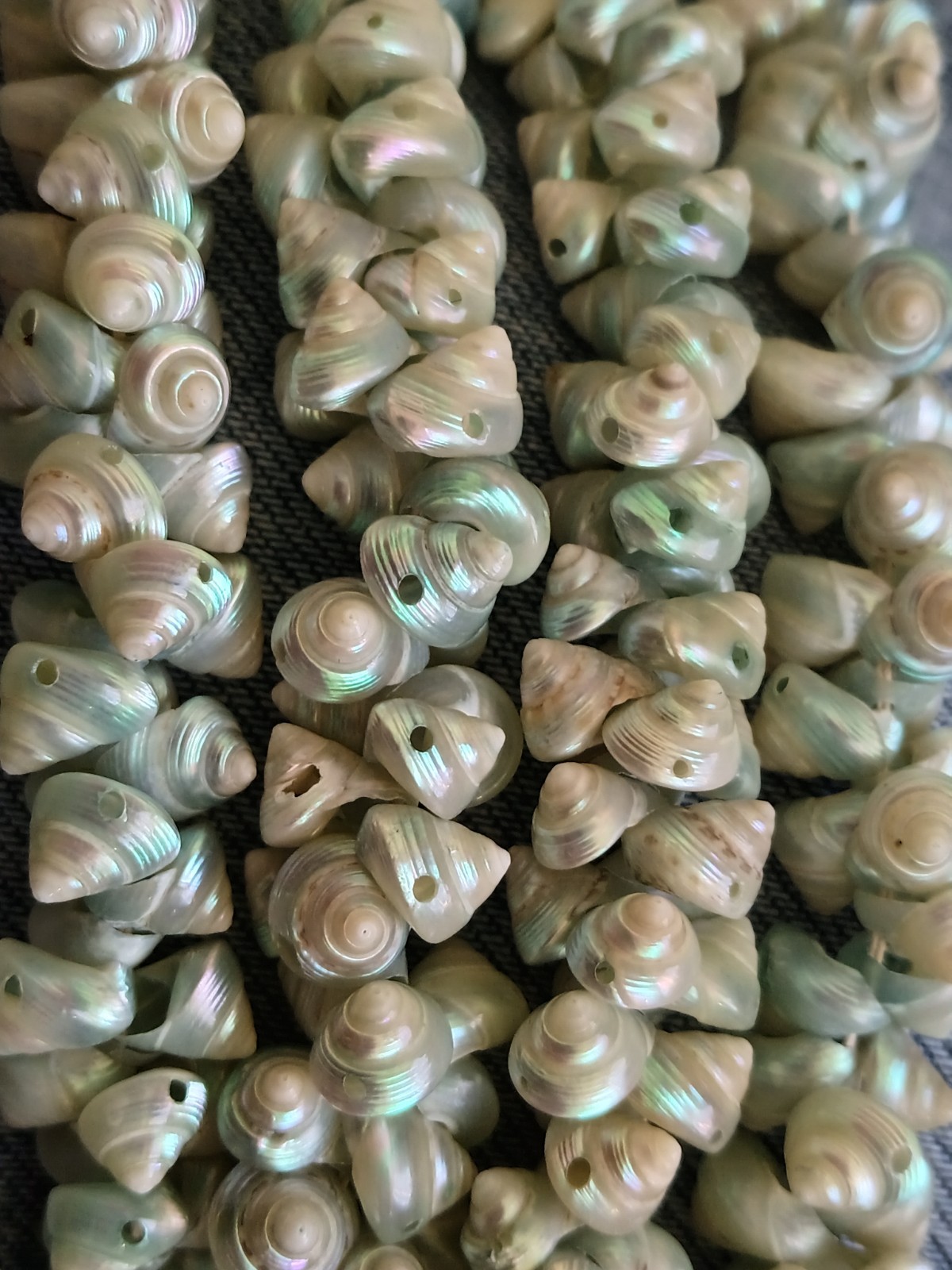 Vintage Trochus Shell Necklace Iridescent Blue Green Tasmanian Single Strand