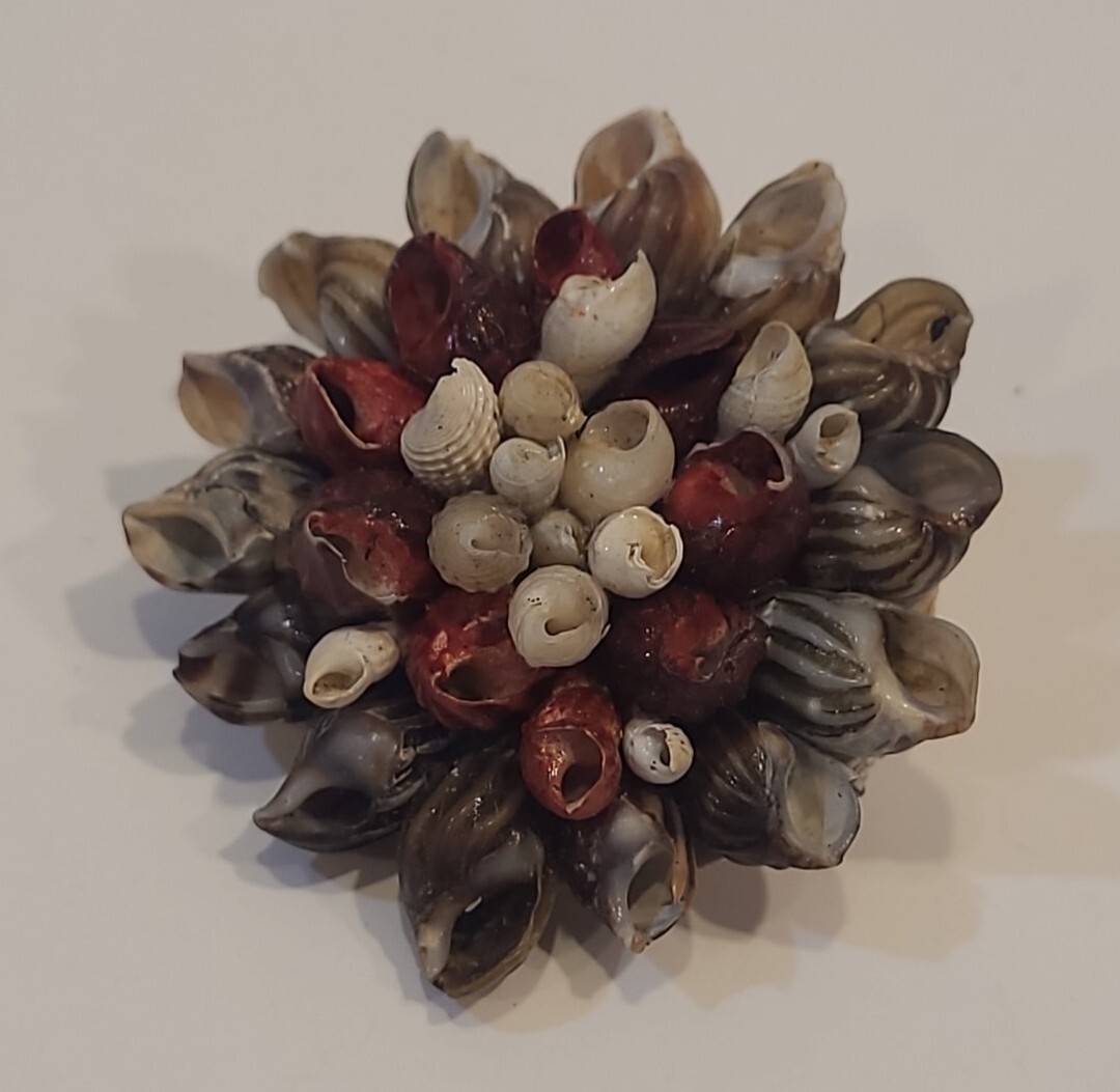 Beach Core Seashell Flower Pin Brooch Shell Petals VTG 1.75″ Handmade Folk Art