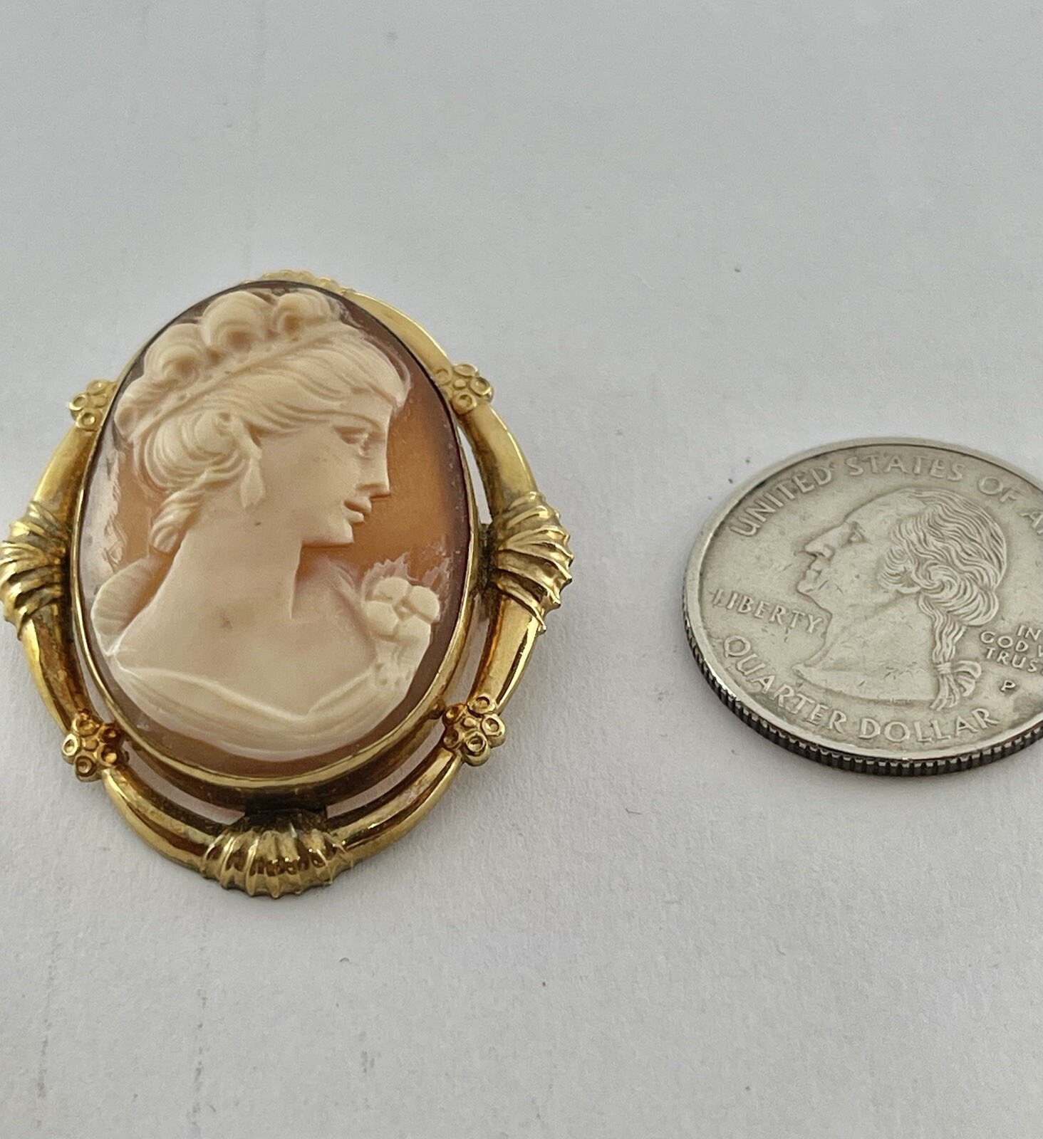 Vintage Gold Filled Carved Shell Lady CAMEO Left Facing Ornate Frame Brooch