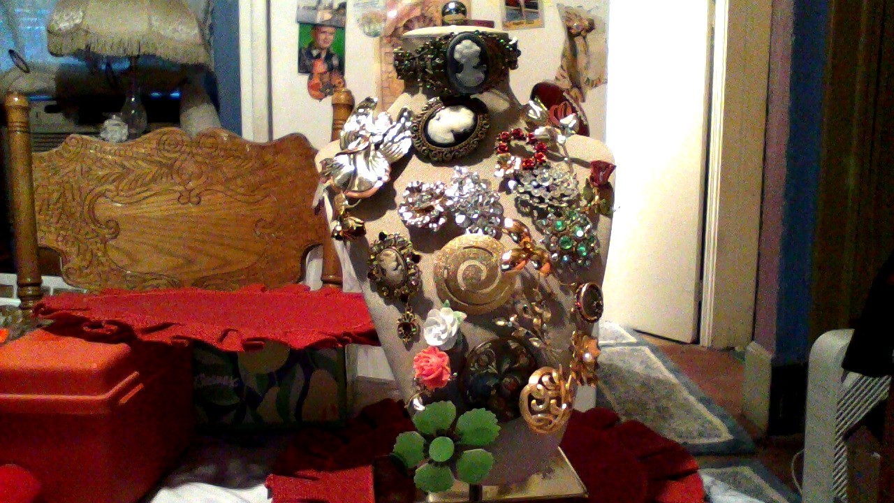 vintage lot of brooches and necklacesI will put ten neckl, in the package.