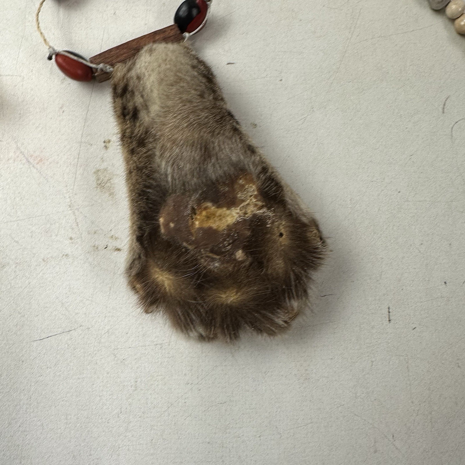 Assorted Tribal Necklaces Unknown Authenticity Or What Animals They Are From