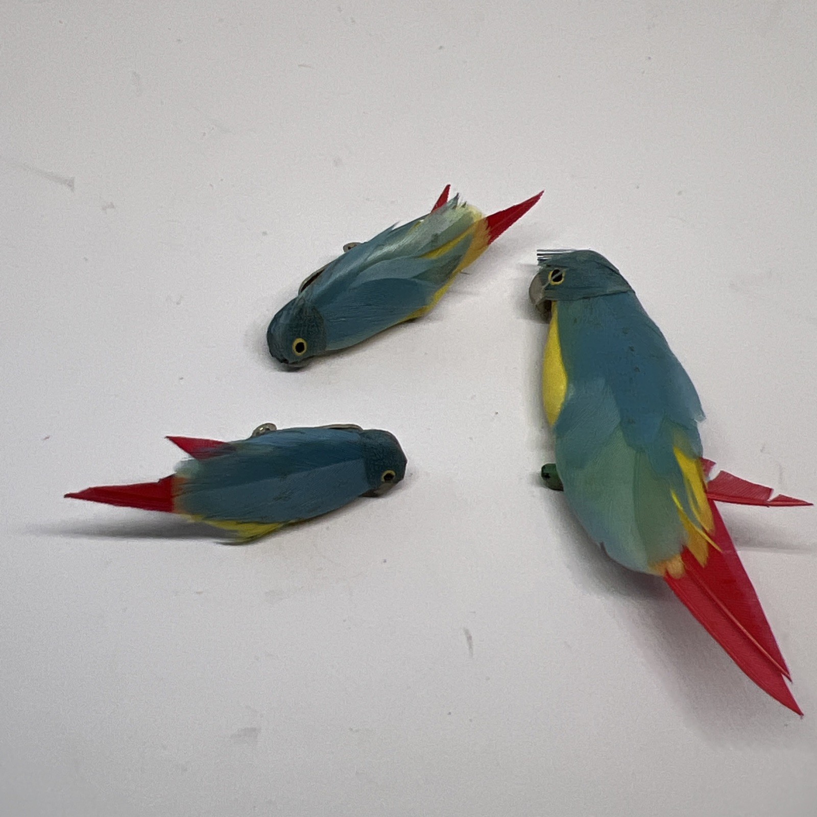Vtg Parrot Bird FEATHERS Made in Great Britain Red/Blue/yellow Pin & Earring Set