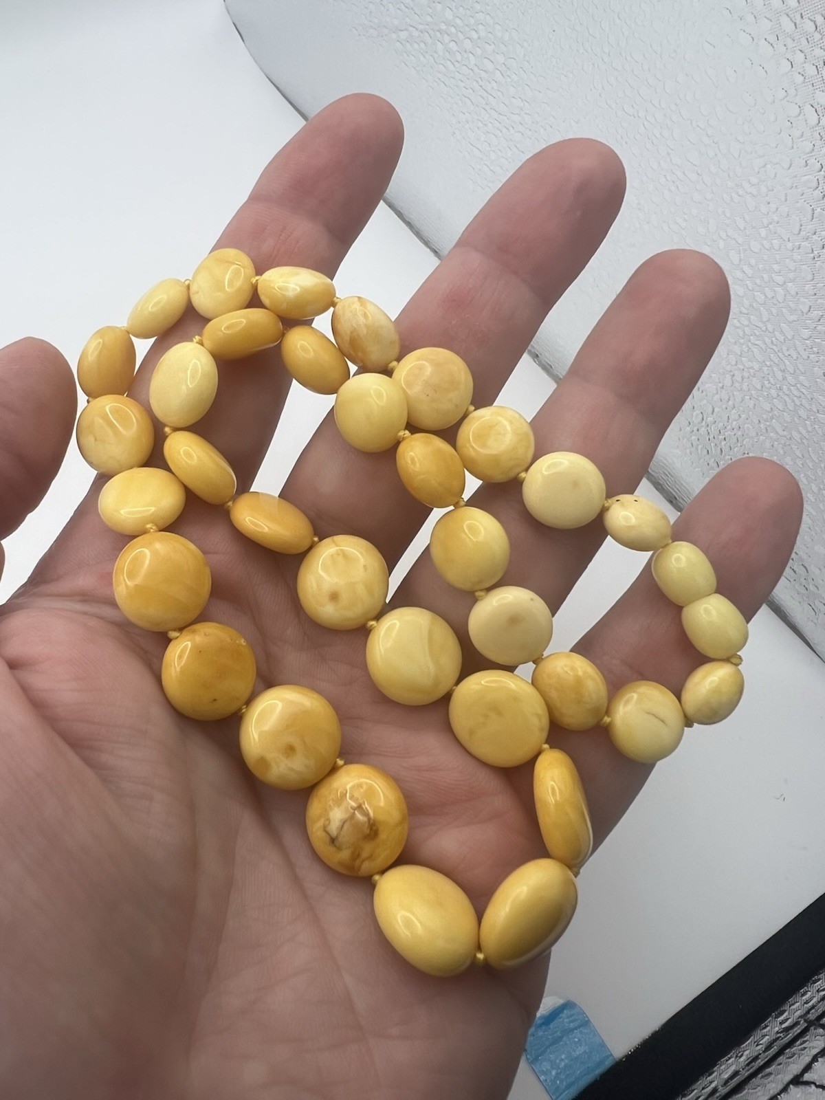 Butterscotch/Egg Yolk Baltic Amber Disk Bead 17-3/4” Necklace 20.8g