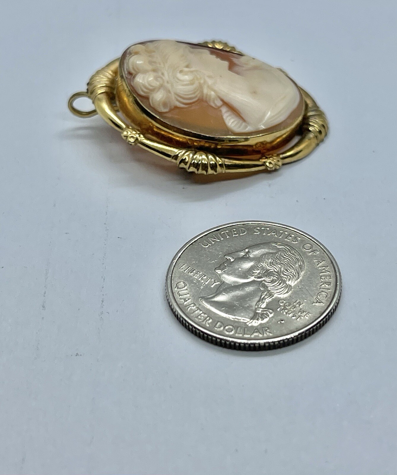 Vintage Gold Filled Carved Shell Lady CAMEO Left Facing Ornate Frame Brooch
