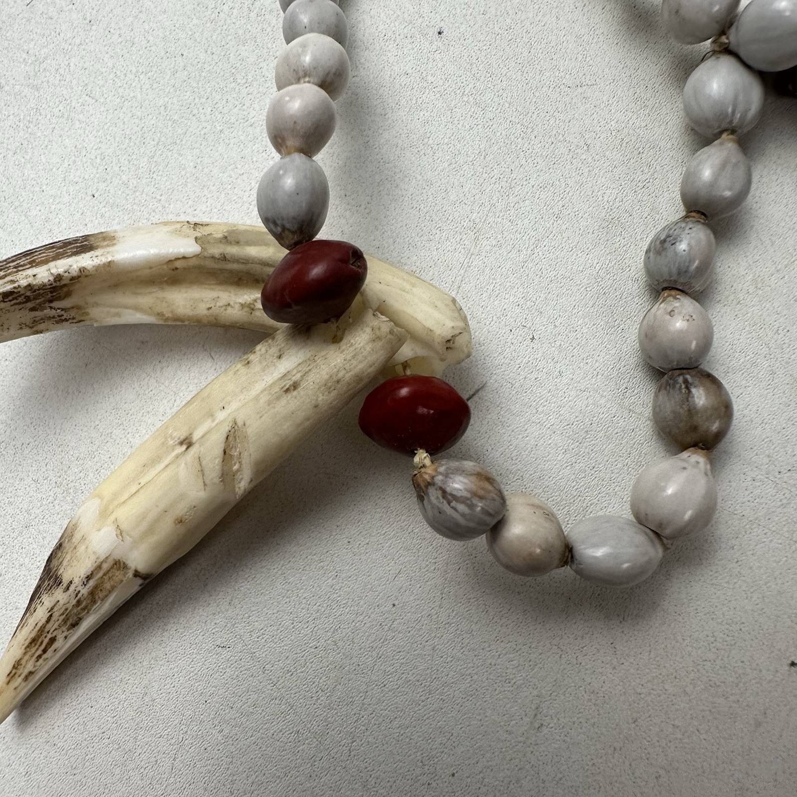 Assorted Tribal Necklaces Unknown Authenticity Or What Animals They Are From