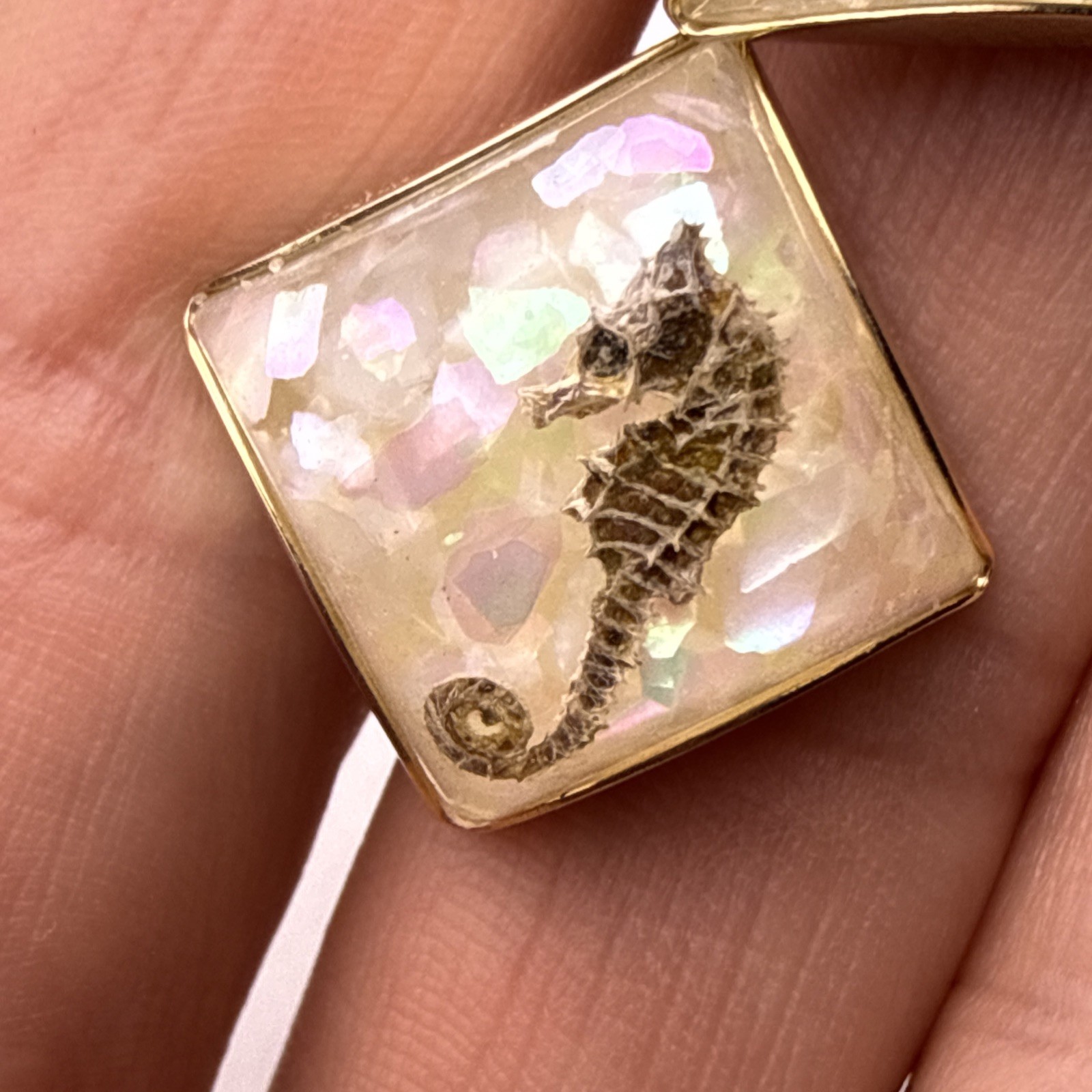 Rare 1960s Genuine Seahorse Confetti Lucite Domed Cuff Links-aquatic Sea Life