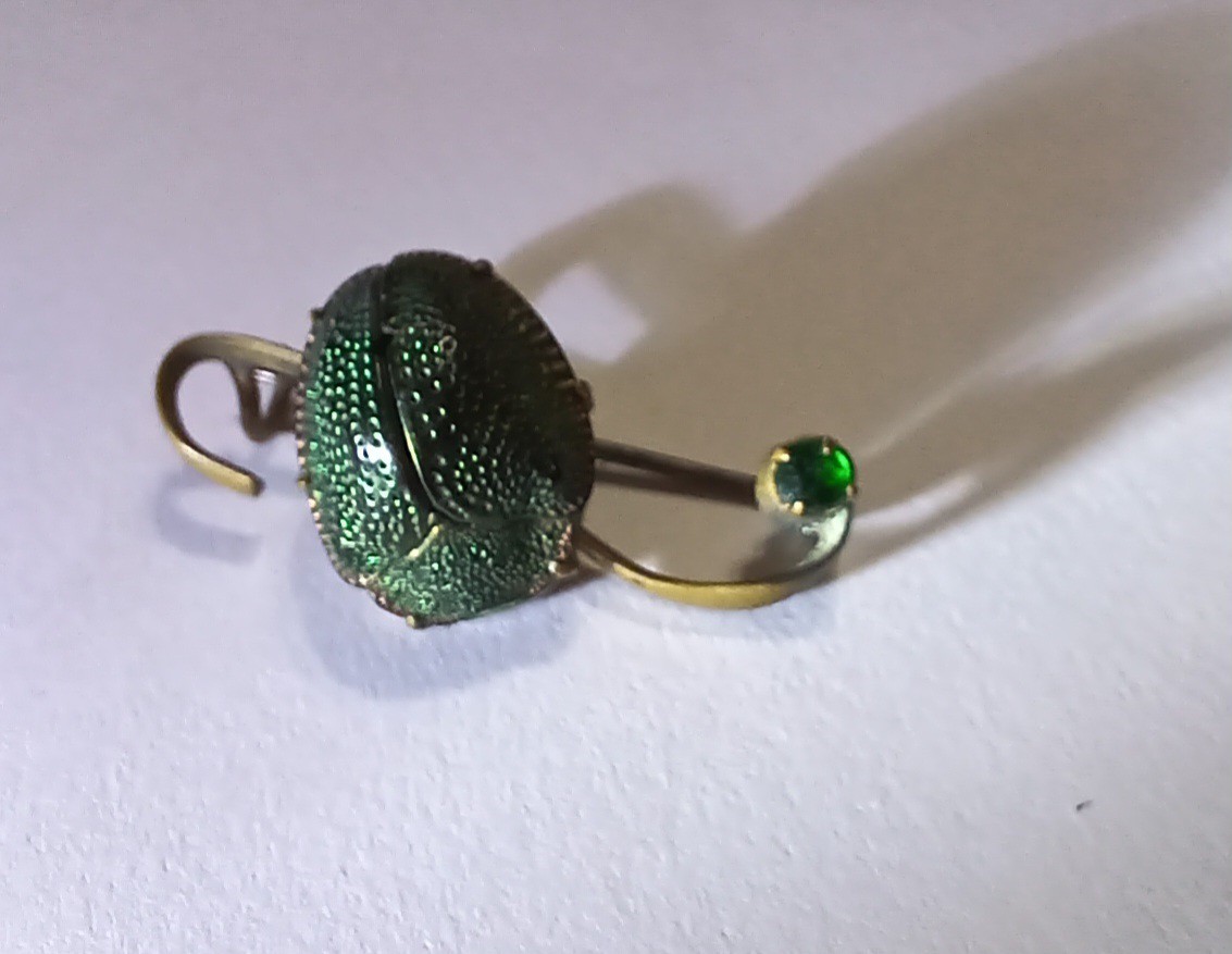 Antique Egyptian Revival Scarab Jewelry Real Scarab Beetle Bar Pin