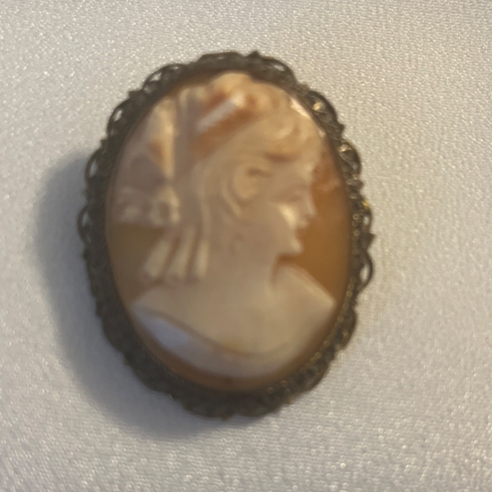 Vintage Hand craved Shell Cameo Brooch and Pin combo with filigree frame