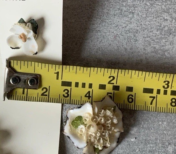 Vintage Handmade Genuine SeaShell 1 Brooch 2 Pairs Of Earrings Shells Florida