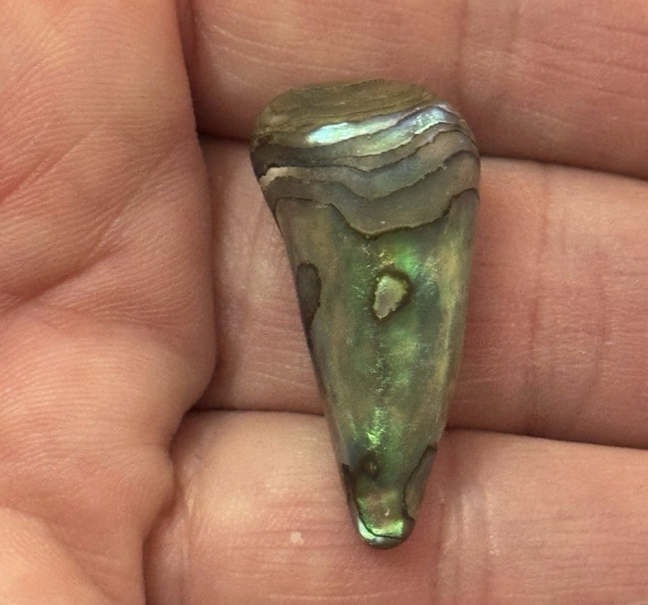 Rare Beautiful Exquisite Abalone Pearl found In Ocean In American Samoa