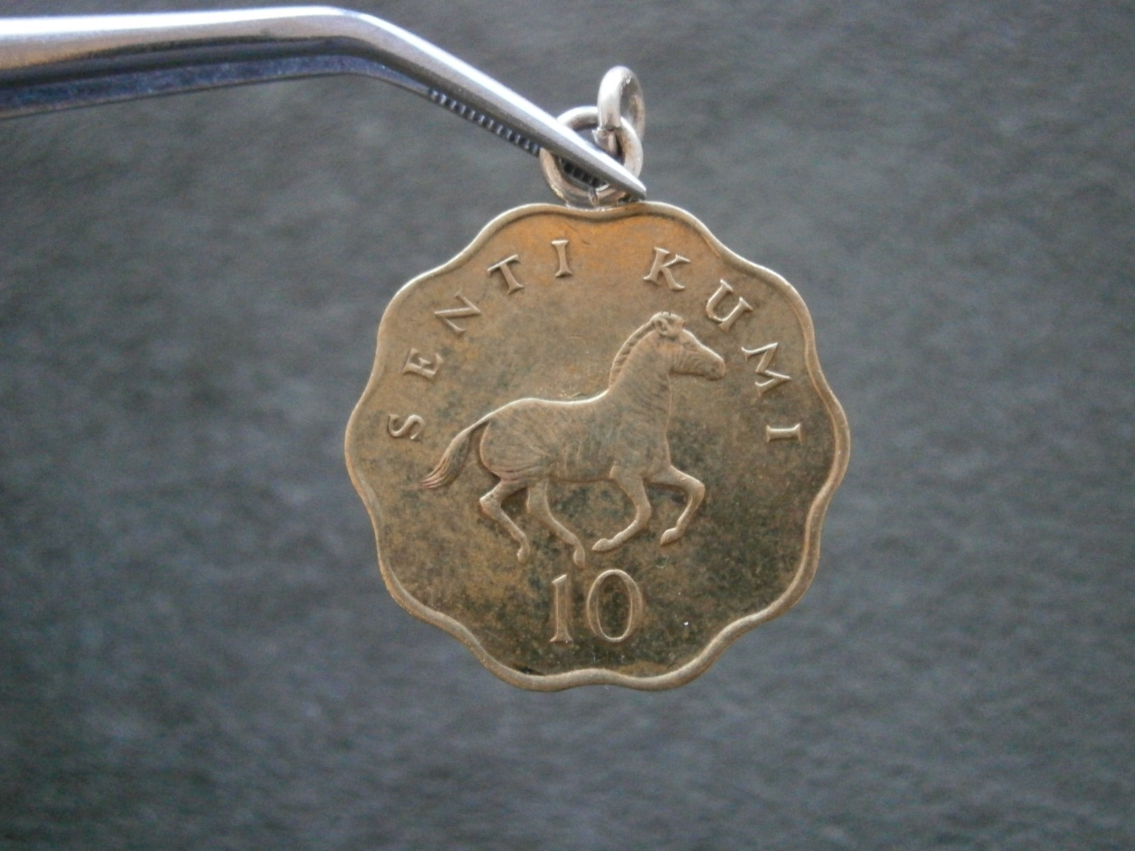 Tanzania 10 Senti Julius Nyerere Zebra Vintage Coin Charm Pendant ~ 1984 ~ 5.2g
