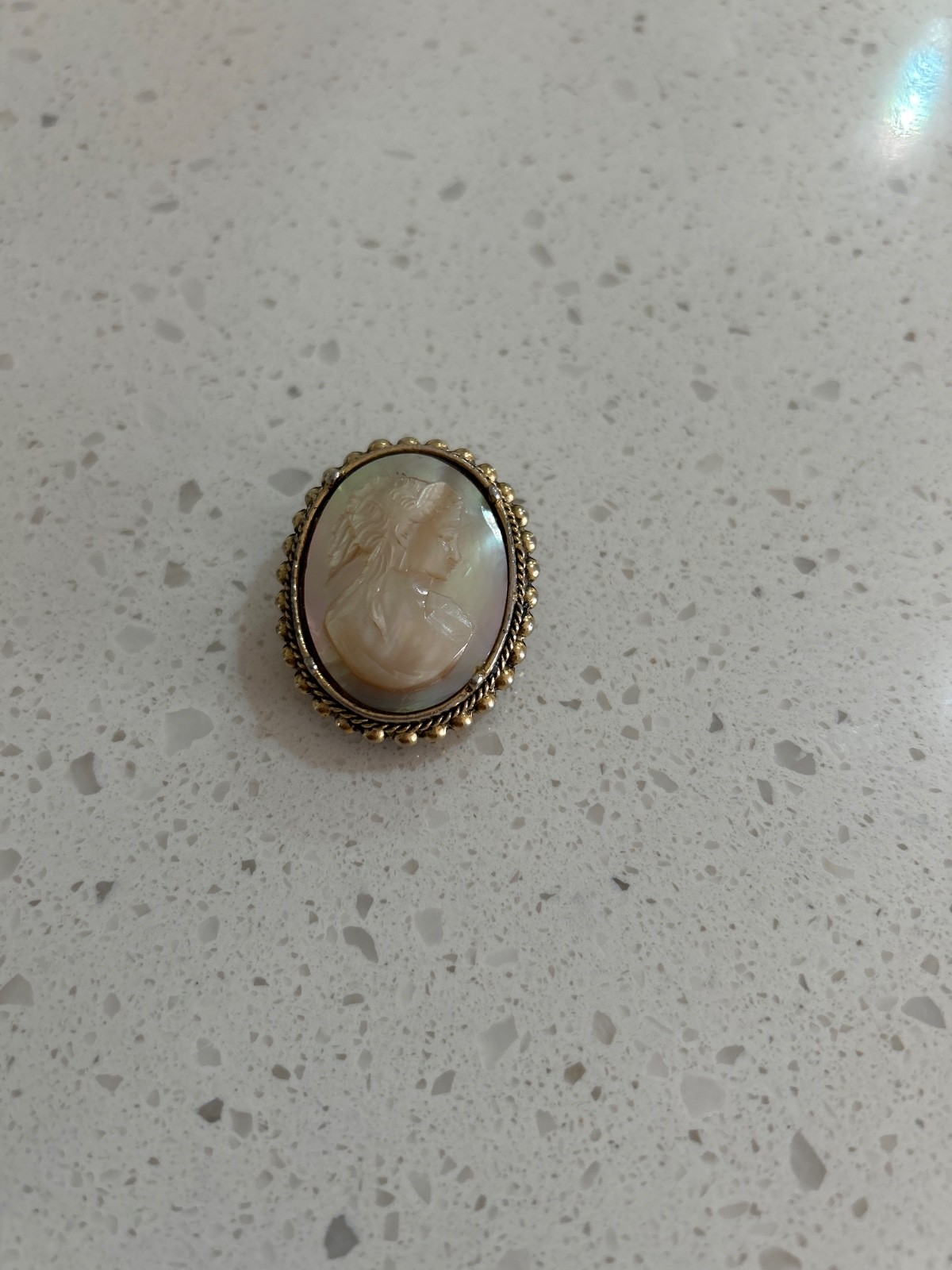 Vintage Carved Shell Cameo Brooch/Pendant