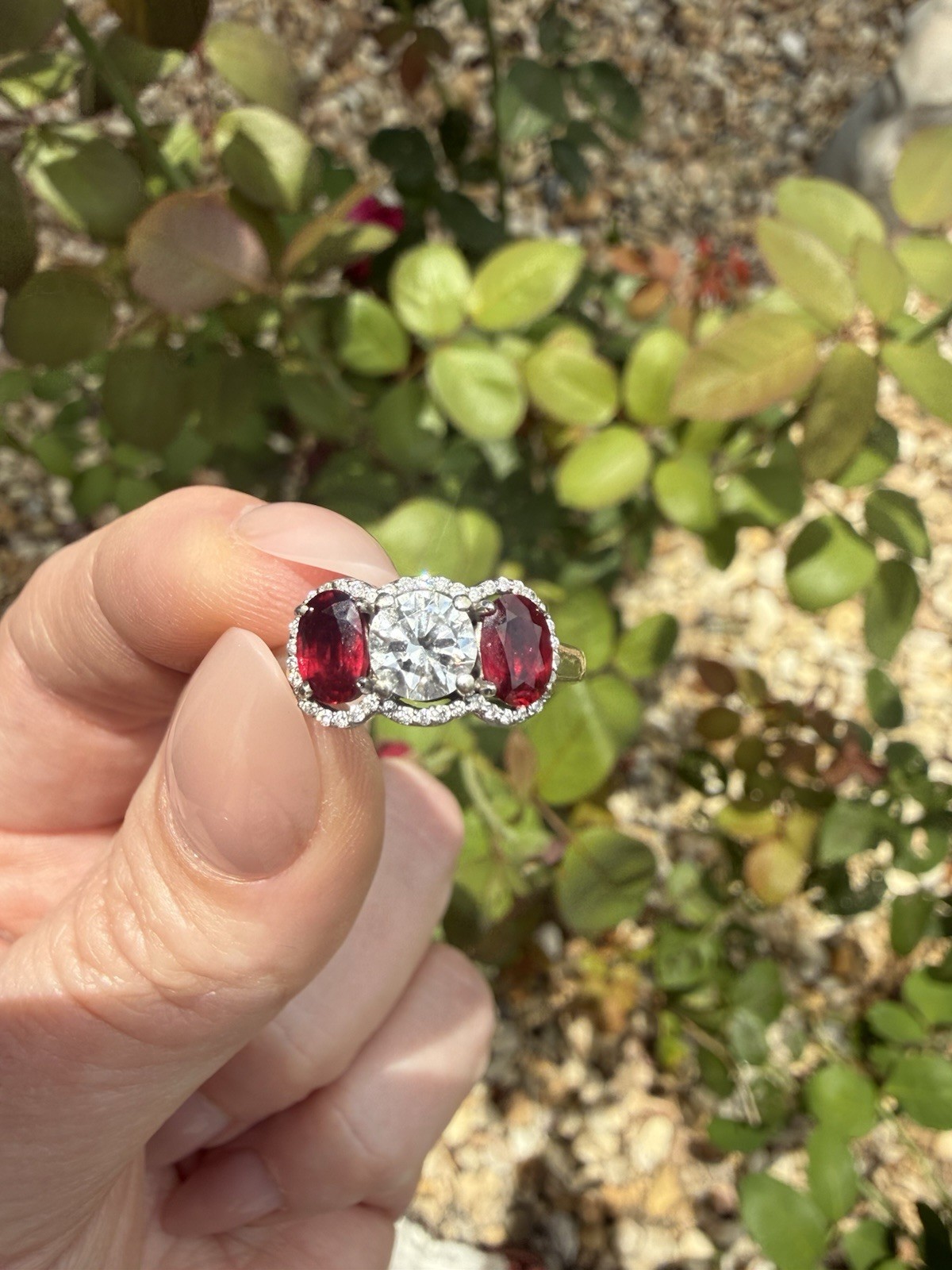 Natural Ruby & Diamond Three-Stone Ring | 14K White Gold | Halo Setting